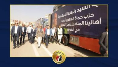 حماة الوطن وسيول اسوان