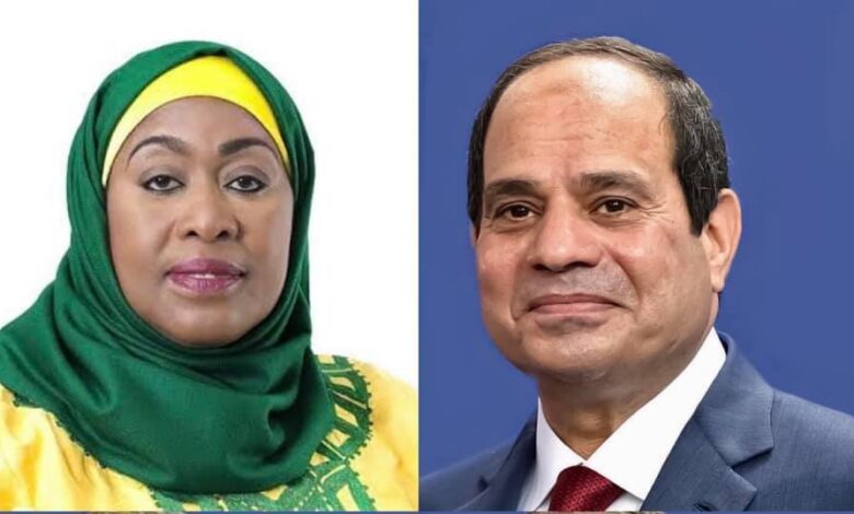 العلاقات بين مصر وتنزانيا