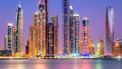 الإمارات الدخل الاستقرار أبوظبي