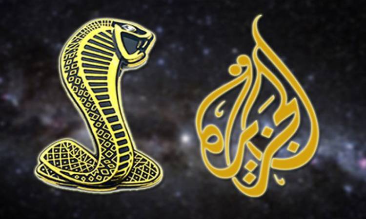 د. أحمد فؤاد أنور