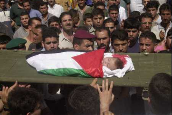 فلسطين شهيد النكبة 