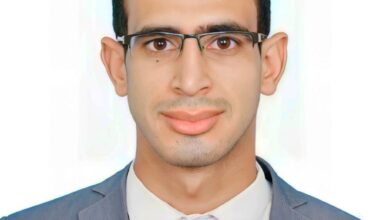 محمود هندي: التنمية المستدامة