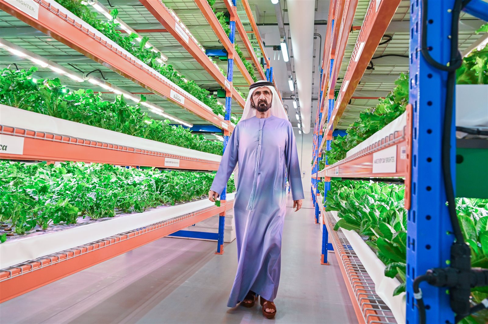 الإمارات نمو اقتصاد سياحة 