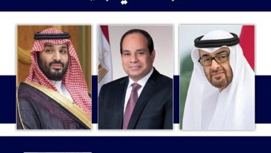 العرب في بريكس