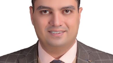 التوأمة الرقمية Digital twin