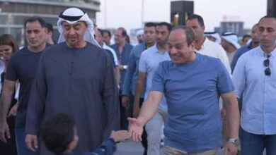 مصر السيسي زايد