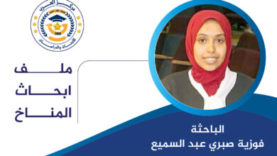 حوكمة المناخ وصنع القرار