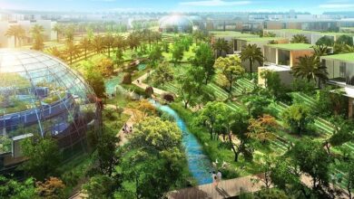 الاقتصاد الأخضر والتنمية المستدامة