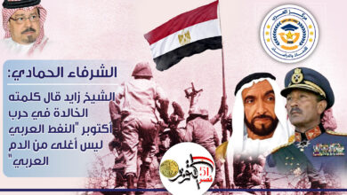 الشيخ زايد حرب أكتوبر