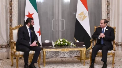 العلاقات المصرية السورية