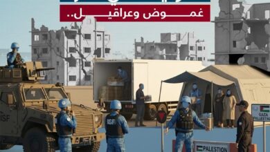 الاستقرار الدولية في غزة