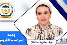 الاقتصاد الرقمي في أفريقيا